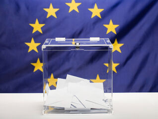 Foreign Electoral Interference Affecting EU Democratic Processes