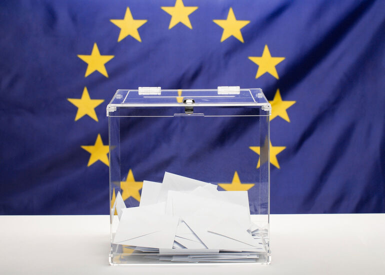 Foreign Electoral Interference Affecting EU Democratic Processes