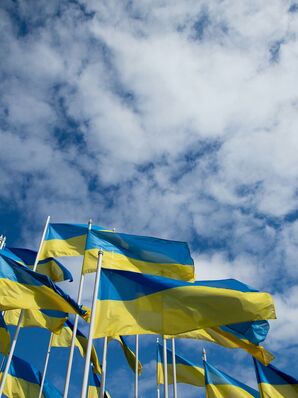 Transformation and development cooperation projects in Ukraine