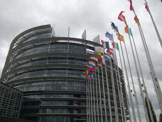 Behind the Ballot: Unmasking Influence Narratives in Czechia, Slovakia, and Poland’s EP Races