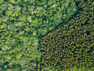 People with green ideas and innovations as a path to the green transition