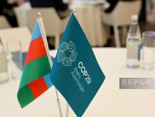 Talk Is Cheap At Finance COP29: And Where Does Czechia Fit In?