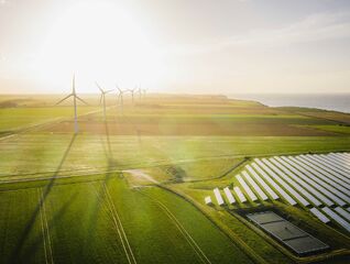 Million dollar deals for a company connected to Nikola Petrović