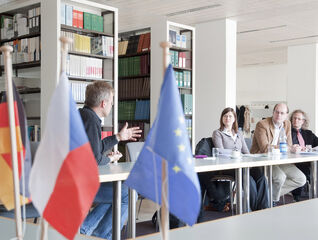 What is the Czech-German Young Professionals Program?