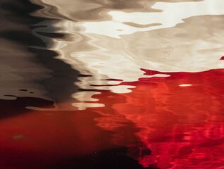 The Czech–Polish positions on the Eastern Partnership: In search of new synergies