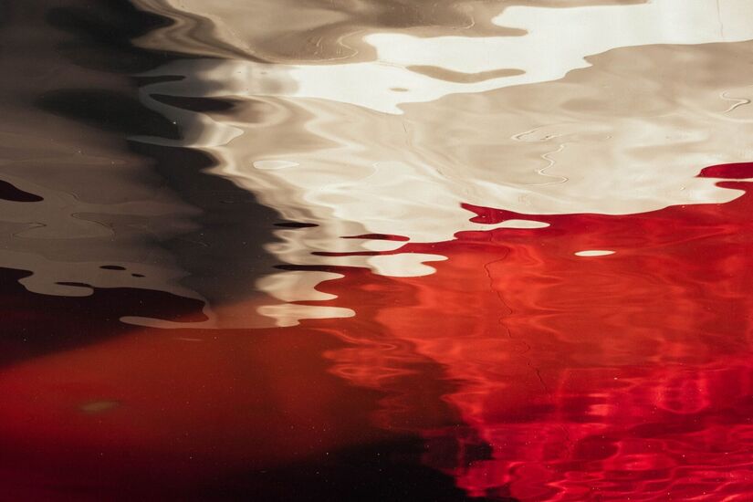 The Czech–Polish positions on the Eastern Partnership: In search of new synergies