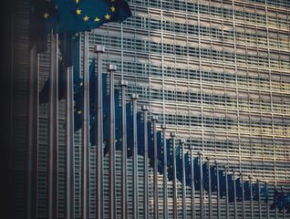 Webinar and factsheet: Applying the EU Sustainable Finance Taxonomy – time to start!