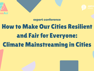 How to Make Our Cities Resilient and Fair for Everyone: Climate Mainstreaming in Cities