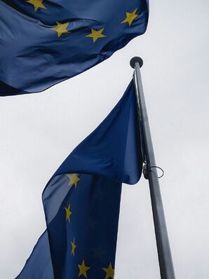 Strengthening the Resilience of Czech, Slovak and Polish Societies Prior to the 2024 European Parliament Elections