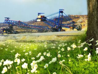 How much does the economy of improvisation cost