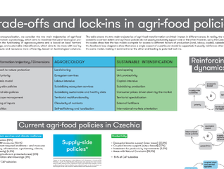 Concept sheet: Trade-offs and lock-ins in agri-food policies