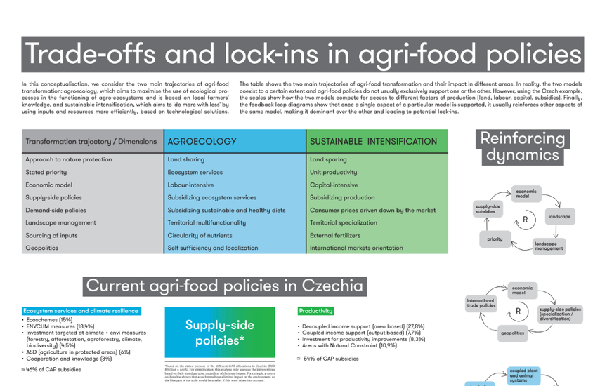 Concept sheet: Trade-offs and lock-ins in agri-food policies