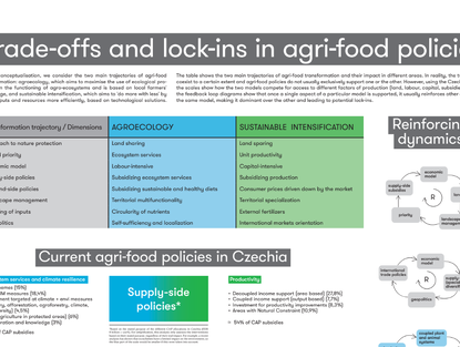 Concept sheet: Trade-offs and lock-ins in agri-food policies