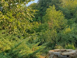 Gray water – unused potential