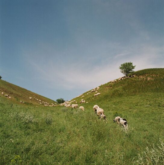 Land(scape): Fertile soils in Vojvodina are disappearing