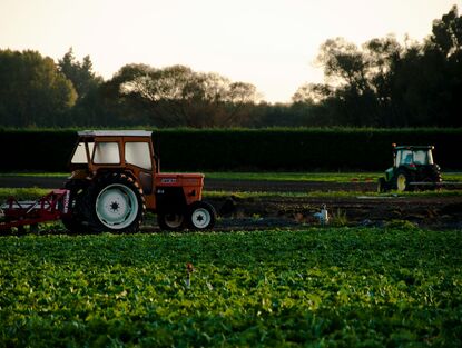 Společná zemědělská politika — Ekoschémata