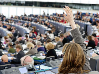 Obsazování výborů Evropského parlamentu: Česko jako vítěz?