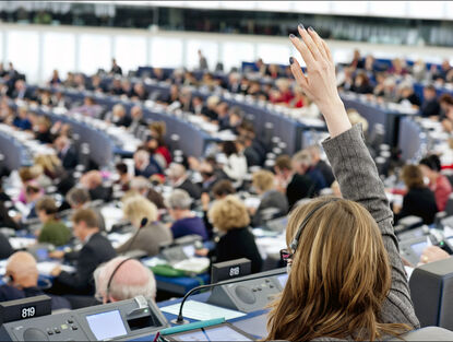 Obsazování výborů Evropského parlamentu: Česko jako vítěz?