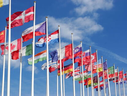 Foreign Policy between Populism, Transactionalism and Partnerships: What Lies Ahead for Czechia after the 2025 Elections?