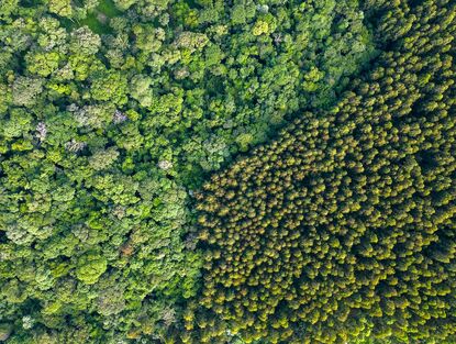 Zelené podnikání a zelená ekonomika jako cesta k udržitelnému rozvoji a zelené transformaci