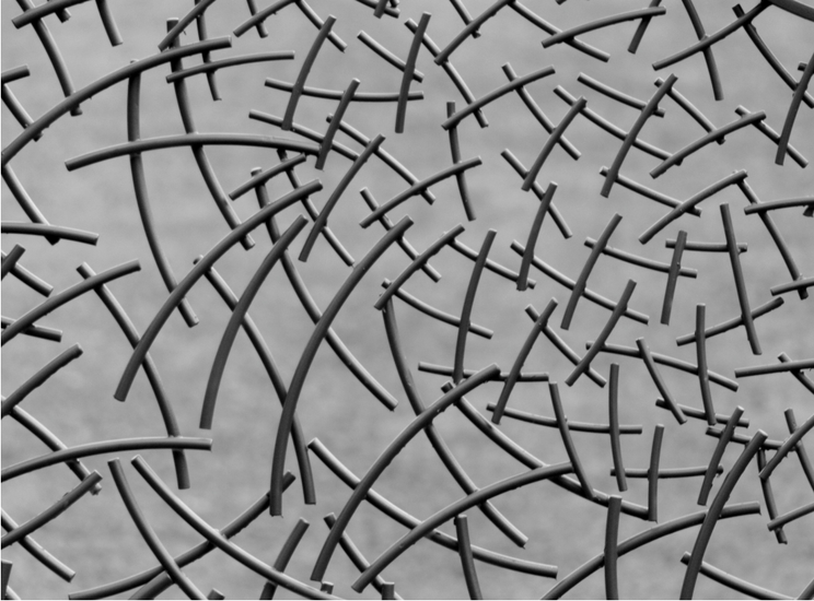 Phantom Menace: The Politics and Policies of Migration in Central Europe