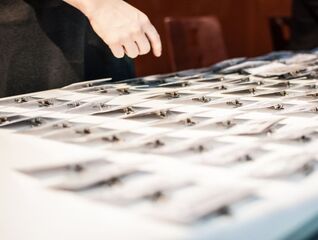 Často kladené otázky k Modelu V4+