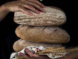 Factsheet: Potravinová bezpečnost ve světle ruské invaze na Ukrajinu