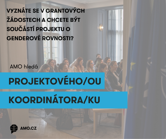 Výběrové řízení: Projektový koordinátor / projektová koordinátorka