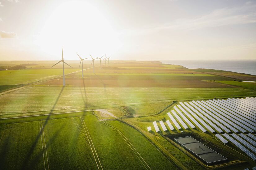 Milionové obchody pro společnost spojenou s Nikolou Petrovičem