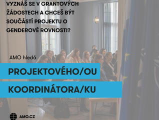 Výběrové řízení: Projektový koordinátor / projektová koordinátorka