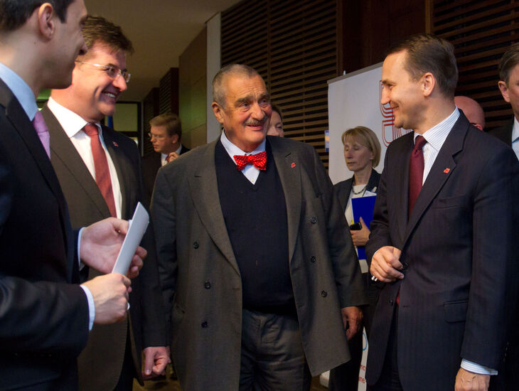 Partneři a spojenci České republiky v Evropské unii