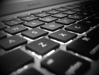 Infodemic and Societal Resilience in the Czech Republic, Slovakia, and Poland