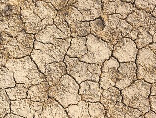 Uhelná, nebo pragmaticky odpovědná zahraniční politika ČR?