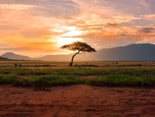 Nové impulsy pro českou strategii v Africe