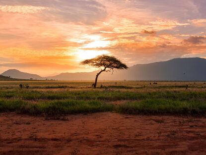 Nové impulsy pro českou strategii v Africe